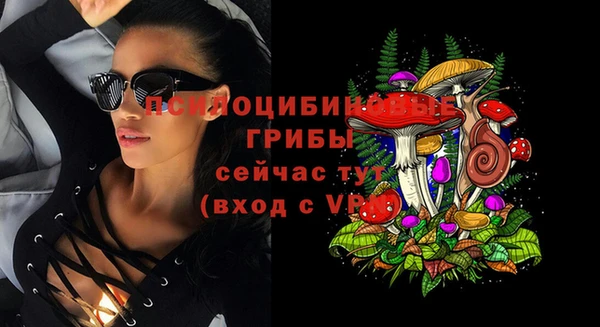 тгк Арсеньев