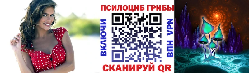 Галлюциногенные грибы мицелий Купить Боровск